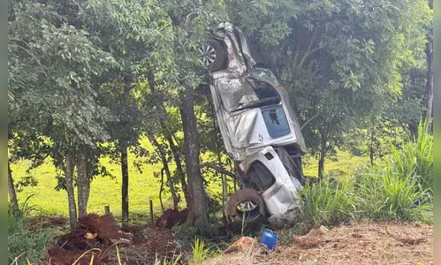 Caminhonete fica suspensa em árvore após acidente na PR-566