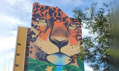 “Prédio da Onça”, uma referência na paisagem urbana de Apucarana