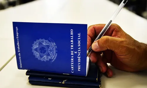 Há vagas de trabalho para diferentes níveis de escolaridade e áreas de atuaçã