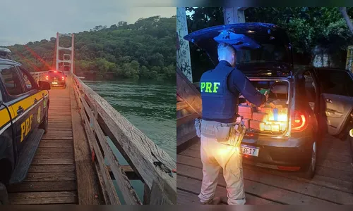 Vídeo: PRF apreende quase meia tonelada de maconha no Paraná