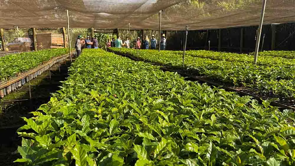 Entrega reforça o apoio à agricultura familiar no município