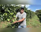 VALE DO IVAÍ