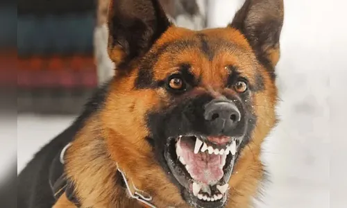 Morador de Arapuã é mordido por cachorro ao sair para o trabalho