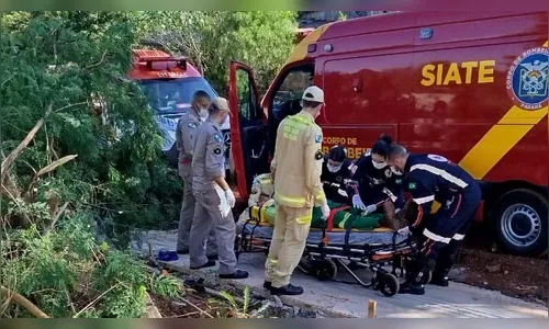 Trabalhador sofre acidente após poste cair durante corte de árvore
