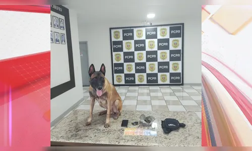 Adolescente é apreendido pela oitava vez com drogas em Apucarana