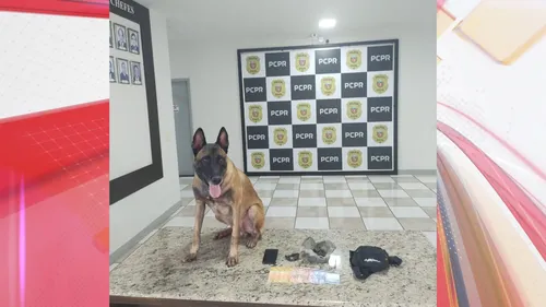 Adolescente é apreendido pela oitava vez com drogas em Apucarana