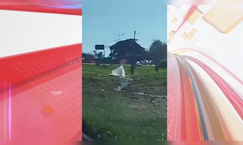 ‘Chafariz’ na BR-369 surpreende moradores de Apucarana