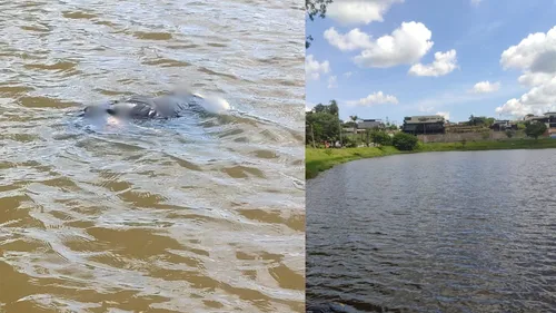 Corpo de mulher é encontrado boiando no Lago Saracura em Faxinal