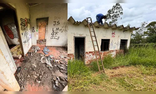 Prefeitura destrói 'mocó' de usuários de drogas em Apucarana