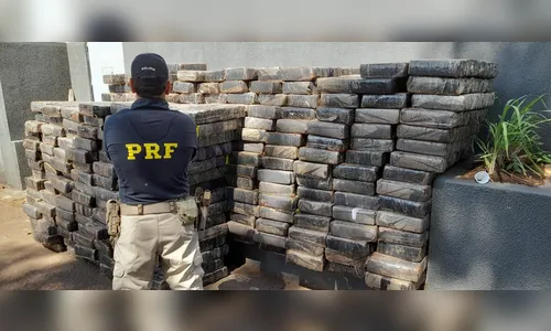 PRF apreende mais de cinco toneladas de maconha em Maringá (PR)