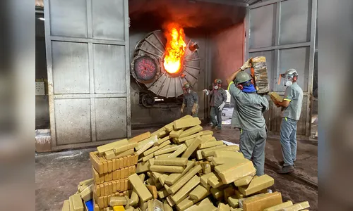 Polícia Civil de Apucarana incinera mais de duas toneladas de drogas