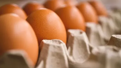 Dúzia de ovos subiu de R$ 9 para R$ 11 na região de Apucarana
