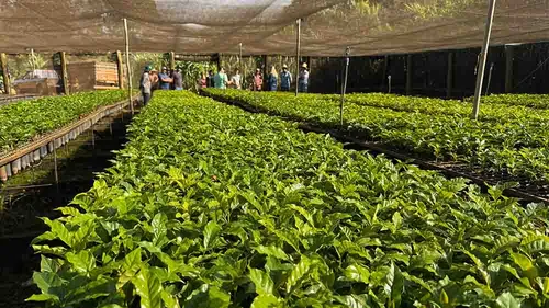 Entrega  reforça o apoio à agricultura familiar no  município