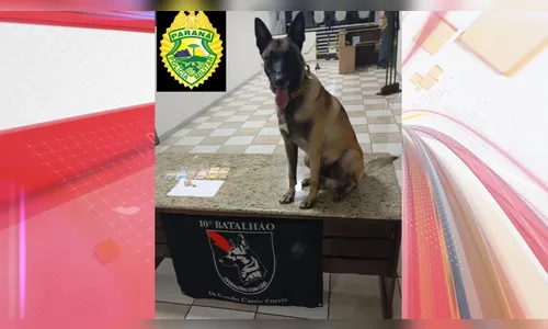 Homem esconde pedra de crack em embalagem de Kinder Ovo e acaba preso