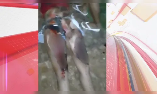 Jovem é atropelada e arrastada por mais de 100 metros em Apucarana