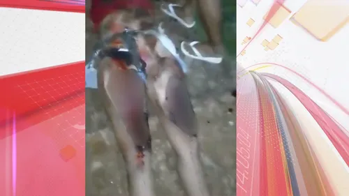 Cenas fortes: vídeo de jovem atropelada em Apucarana circula nas redes