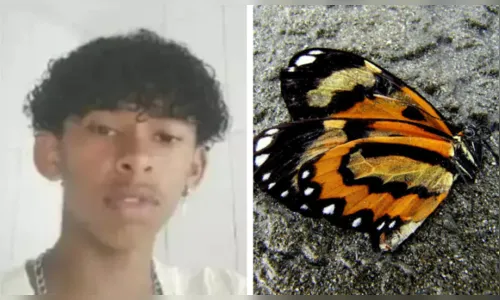 Garoto morre após injetar água com restos de borboleta na Bahia