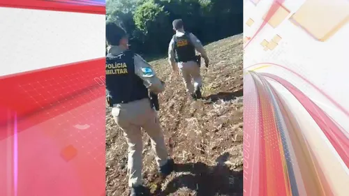 O local é em uma área recém-colhida de soja, perto de uma mata ciliar