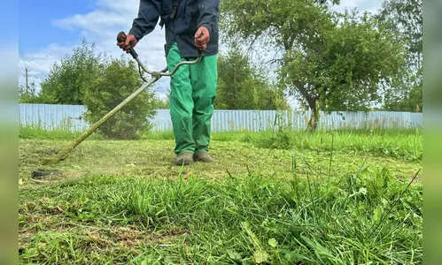 Arapongas dá prazo de 10 dias para limpeza de terrenos baldios