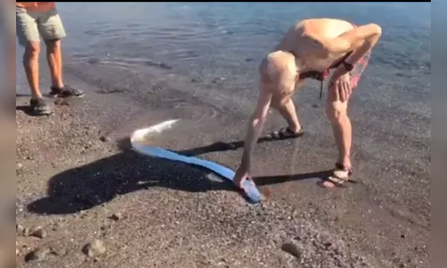 Peixe que anuncia apocalipse é filmado se debatendo em praia do México