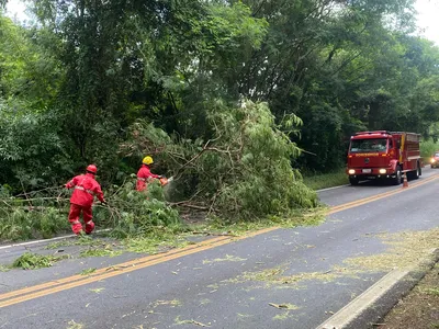 Pista foi bloqueada somente no sentido Arapongas