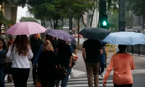 Chuva forte com raios atinge a Grande SP; veja a previsão do tempo