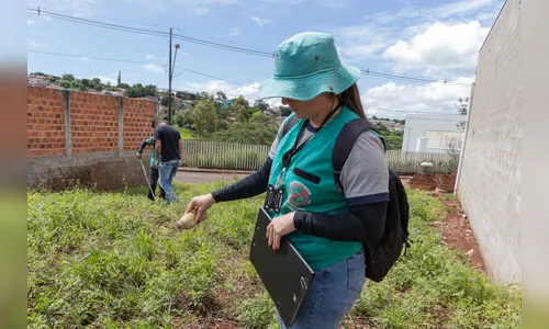 Alta de 61% nos casos de dengue gera alerta em Apucarana