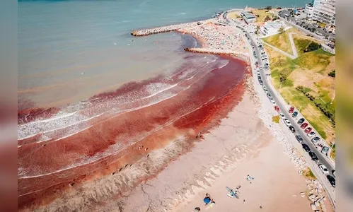 Maré vermelha: água de praias famosas da Argentina amanhece vermelha