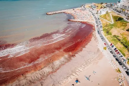 Segundo especialistas, a maré vermelha não está relacionada às mudanças climáticas
