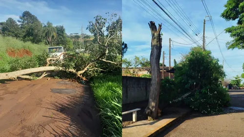 Também há casos no Distrito da Vila Reis