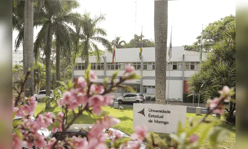 UEM vai contratar 18 servidores temporários; saiba como participar