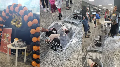Ação é realizada neste domingo no Super Muffato
