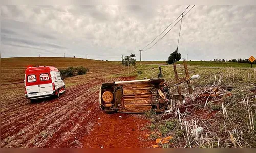 Motorista colide com poste ao desviar de carro na contramão na PR-082
