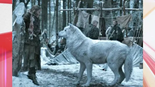 Animal pré-histórico ganhou fama com sucesso da série Game of Thrones