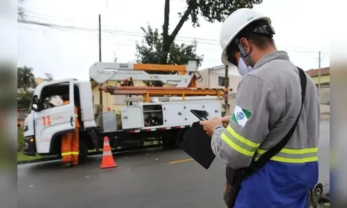 Queda de galho de árvore na rede de energia provocou desligamento, diz Copel