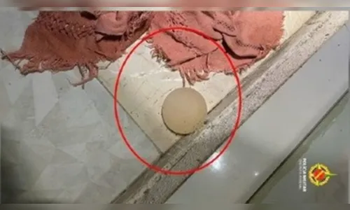 Homem é preso após arrancar silicone de companheira durante briga