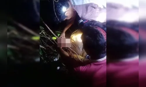 Mulher é encontrada morta com a cabeça na boca de cobra com 7 metros