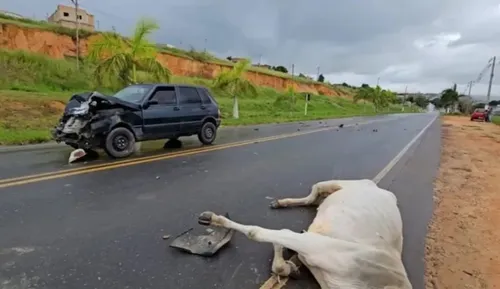 Fiat Uno e vaca se envolveram em acidente na Bahia