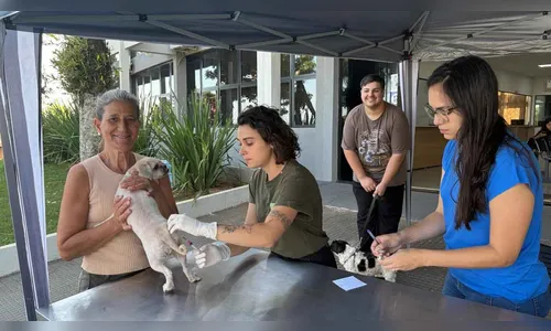 Jardim Alegre oferece vacina gratuita contra a raiva para cães e gatos