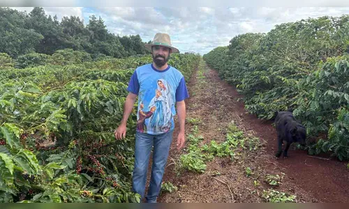 Café de Ivaiporã caminha para obter selo de Indicação Geográfica