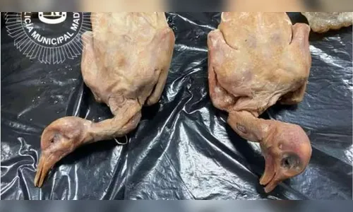 Restaurante é fechado por vender pombo no lugar de pato assado