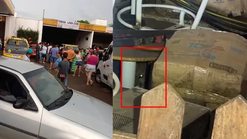 Onça-parda em posto de combustíveis mobiliza resgate em Faxinal; vídeo