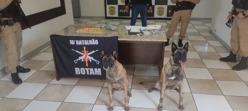 Operação da PM cumpre mandados na zona norte de Apucarana; veja