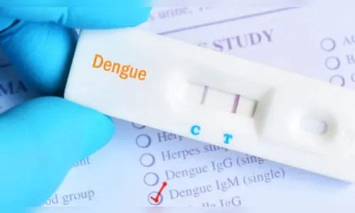 Regional de Saúde investiga 2 mortes suspeitas por dengue em Apucarana
