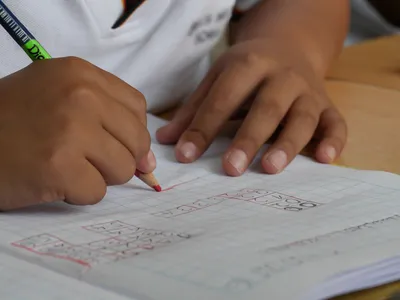 Pais adotaram ensino domiciliar, que não é permitido no Brasil