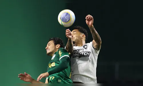 Onde assistir Palmeiras x Botafogo pela estreia do Brasileirão