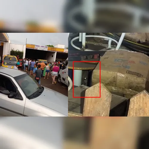 Onça-parda em posto de combustíveis mobiliza resgate em Faxinal; vídeo