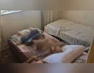 Vídeo mostra prisão de irmãos que mantinham pai morto dentro de casa
