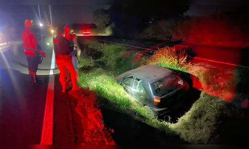 Carro com pit bull e 10 kg de peixe se envolve em acidente em Apucarana