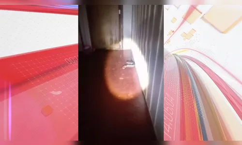 Morador dá de cara com cascavel ao ir fazer café: 